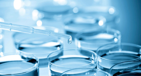 Petri Dish Banner Image