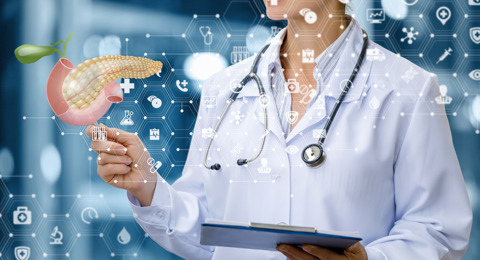 Pancreas Researcher Image